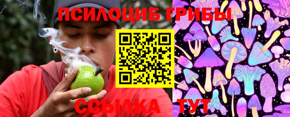 Псилоцибиновые грибы Psilocybine cubensis  Галлюциногенные грибы GOLDEN TEACHER  цены наркотик  Гусев  Вход с VPN 
