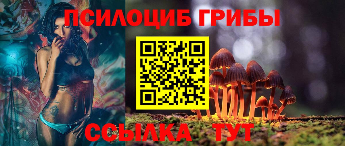 Галлюциногенные грибы ЛСД Гусев