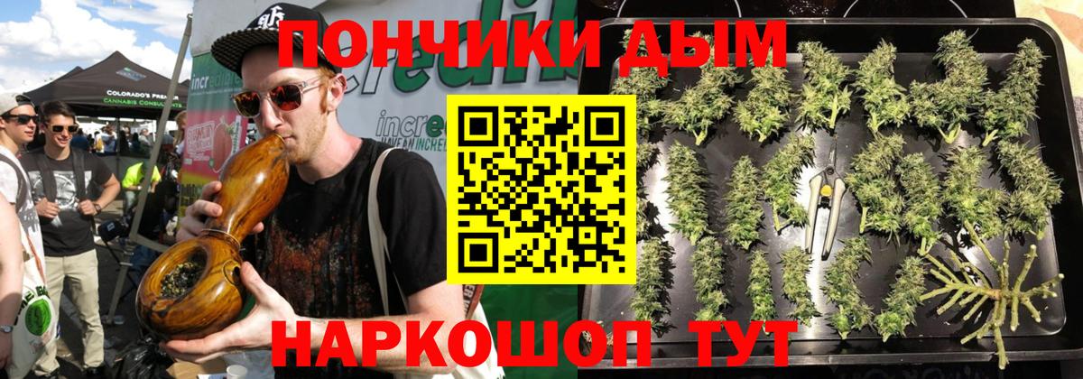Бошки Шишки MAZAR Гусев